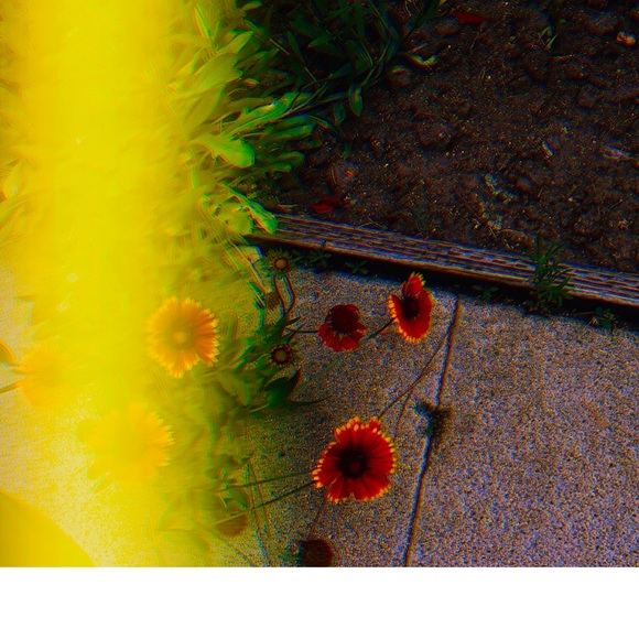 Lovely Star * Photography Art Print - Picture 1 of 5